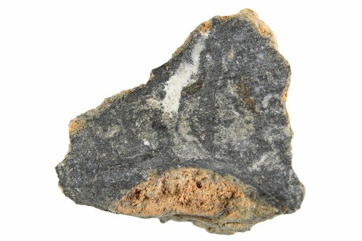 Polished Lunar Meteorite ( g) End Cut Slice - NWA #333169